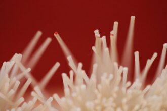 découvrez les bienfaits des fibres pour votre santé : une alimentation riche en fibres aide à améliorer la digestion, à réduire le cholestérol et à maintenir un poids sain. apprenez comment intégrer plus de fibres dans votre régime alimentaire quotidien.