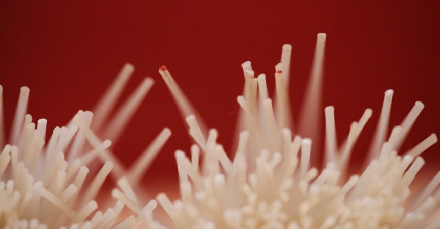 découvrez les bienfaits des fibres pour votre santé : une alimentation riche en fibres aide à améliorer la digestion, à réduire le cholestérol et à maintenir un poids sain. apprenez comment intégrer plus de fibres dans votre régime alimentaire quotidien.