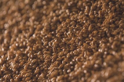 découvrez l'importance des fibres dans votre alimentation : bienfaits pour la digestion, santé intestinale et comment les intégrer facilement dans vos repas quotidiens.