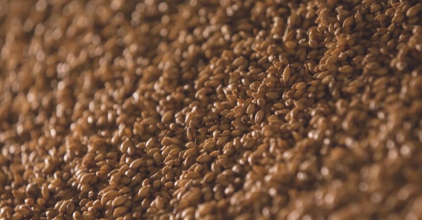 découvrez l'importance des fibres dans votre alimentation : bienfaits pour la digestion, santé intestinale et comment les intégrer facilement dans vos repas quotidiens.