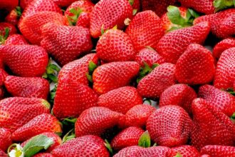 découvrez l'univers délicieux des fruits, riches en vitamines et en saveurs, idéaux pour une alimentation saine et équilibrée. explorez les variétés, les bienfaits et des recettes alléchantes à base de fruits.