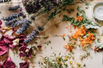 découvrez les bienfaits des plantes médicinales, leurs propriétés curatives et comment les utiliser pour améliorer votre santé et votre bien-être au quotidien.