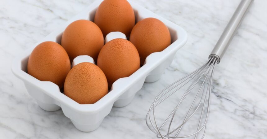 découvrez tout sur les protéines : leurs rôles essentiels dans l'alimentation, les meilleures sources, et comment les intégrer efficacement dans votre régime. apprenez à optimiser votre santé avec des conseils nutritionnels et des recettes riches en protéines.