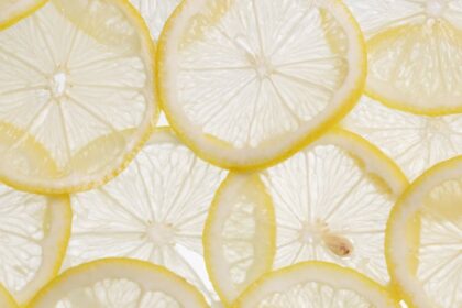 découvrez notre guide complet sur les régimes détox, où vous apprendrez les bienfaits, les recettes savoureuses et les conseils pratiques pour purifier votre corps et revitaliser votre bien-être. transformez votre santé avec des méthodes naturelles et efficaces.