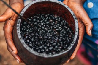 découvrez les superfruits, ces puissants alliés de votre santé ! riches en nutriments et antioxydants, ces fruits exceptionnels boostent votre énergie, renforcent votre immunité et améliorent votre bien-être général. explorez leur incroyable variété et intégrez-les facilement dans votre alimentation quotidienne.
