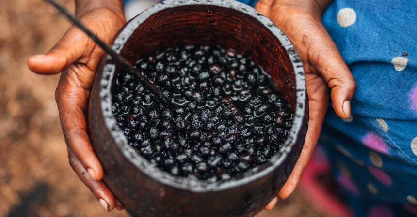 découvrez les superfruits, ces puissants alliés de votre santé ! riches en nutriments et antioxydants, ces fruits exceptionnels boostent votre énergie, renforcent votre immunité et améliorent votre bien-être général. explorez leur incroyable variété et intégrez-les facilement dans votre alimentation quotidienne.