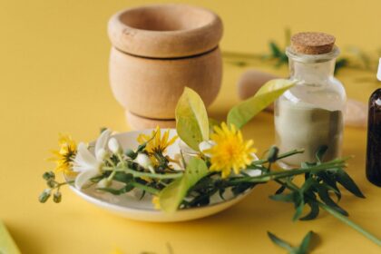 découvrez les thérapies alternatives, des approches holistiques qui favorisent le bien-être et l'équilibre. explorez des méthodes naturelles pour améliorer votre santé physique et mentale.