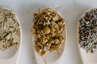 découvrez les bienfaits de l'homéopathie, une approche douce et naturelle pour traiter divers maux. explorez les principes de cette médecine alternative, ses remèdes et son efficacité pour améliorer votre bien-être au quotidien.