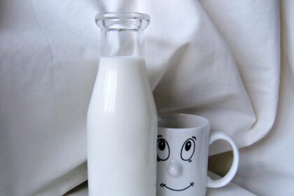découvrez l'importance du calcium pour votre santé : un minéral essentiel pour des os solides, un cœur en bonne santé et un fonctionnement optimal des muscles. informez-vous sur les meilleures sources et les conseils pour assurer un apport suffisant.