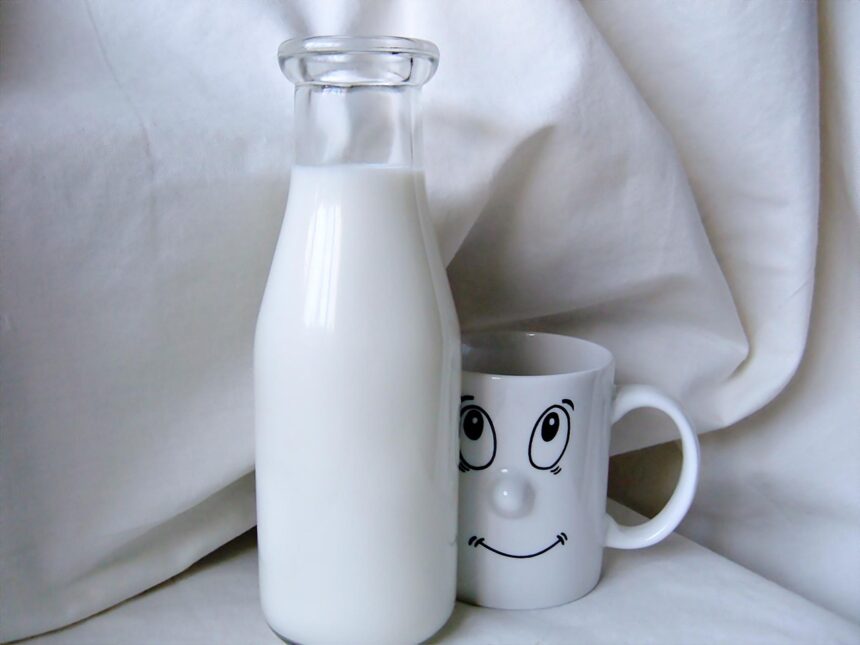découvrez l'importance du calcium pour votre santé : un minéral essentiel pour des os solides, un cœur en bonne santé et un fonctionnement optimal des muscles. informez-vous sur les meilleures sources et les conseils pour assurer un apport suffisant.