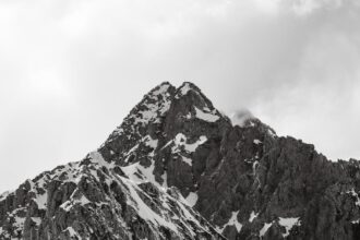 découvrez des remèdes naturels efficaces pour soulager le rhume. explorez des solutions douces et authentiques, alliant plantes et conseils pratiques pour retrouver rapidement bien-être et confort. dites adieu aux symptômes du rhume grâce à la nature!