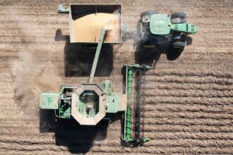découvrez les maladies du grain, leurs causes, symptômes et méthodes de prévention. protégez vos cultures et maximisez vos récoltes grâce à nos conseils d'experts en phytopathologie.