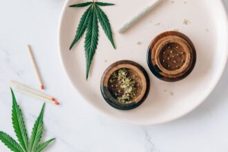 découvrez tout sur la maladie du laurier : symptômes, causes et solutions pour préserver la santé de vos plants de laurier. protégez vos cultures avec nos conseils d'experts.