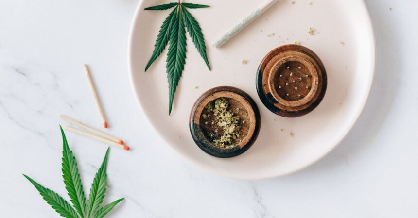 découvrez tout sur la maladie du laurier : symptômes, causes et solutions pour préserver la santé de vos plants de laurier. protégez vos cultures avec nos conseils d'experts.