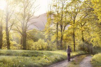 découvrez les bienfaits de la marche, une activité accessible à tous qui améliore votre santé physique et mentale. apprenez des conseils pratiques pour intégrer la marche dans votre quotidien et explorez des itinéraires inspirants pour profiter de moments de détente en pleine nature.