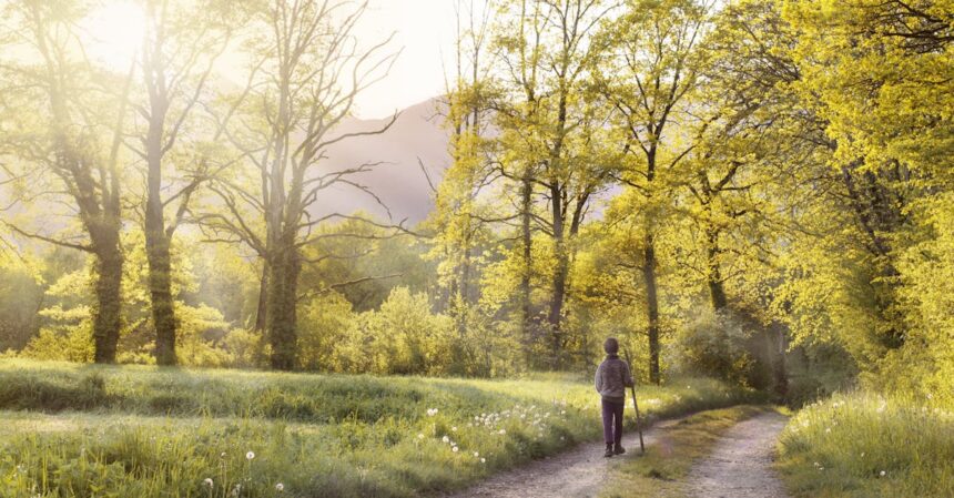 découvrez les bienfaits de la marche, une activité accessible à tous qui améliore votre santé physique et mentale. apprenez des conseils pratiques pour intégrer la marche dans votre quotidien et explorez des itinéraires inspirants pour profiter de moments de détente en pleine nature.