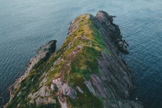 découvrez les gainers de masse naturels, des solutions efficaces pour augmenter votre poids de manière saine. riches en nutriments et élaborés à partir d'ingrédients naturels, ils vous aident à construire du muscle tout en préservant votre vitalité. idéaux pour les sportifs et les personnes cherchant à prendre du volume, nos produits garantissent un apport calorique optimal sans additifs artificiels.