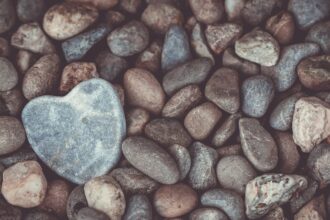 découvrez la méditation du cœur, une pratique transformative visant à cultiver l'amour, la compassion et la paix intérieure. plongez dans des techniques simples pour harmoniser votre esprit et votre cœur, favorisant un bien-être profond et une connexion authentique avec vous-même et les autres.