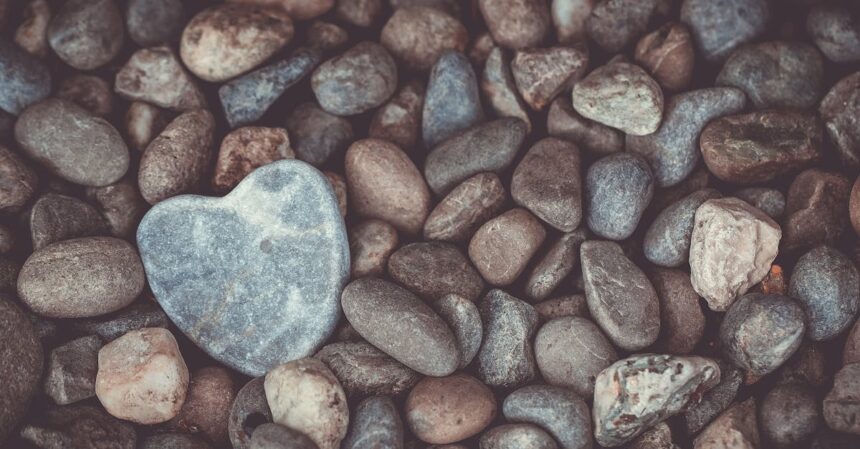 découvrez la méditation du cœur, une pratique transformative visant à cultiver l'amour, la compassion et la paix intérieure. plongez dans des techniques simples pour harmoniser votre esprit et votre cœur, favorisant un bien-être profond et une connexion authentique avec vous-même et les autres.
