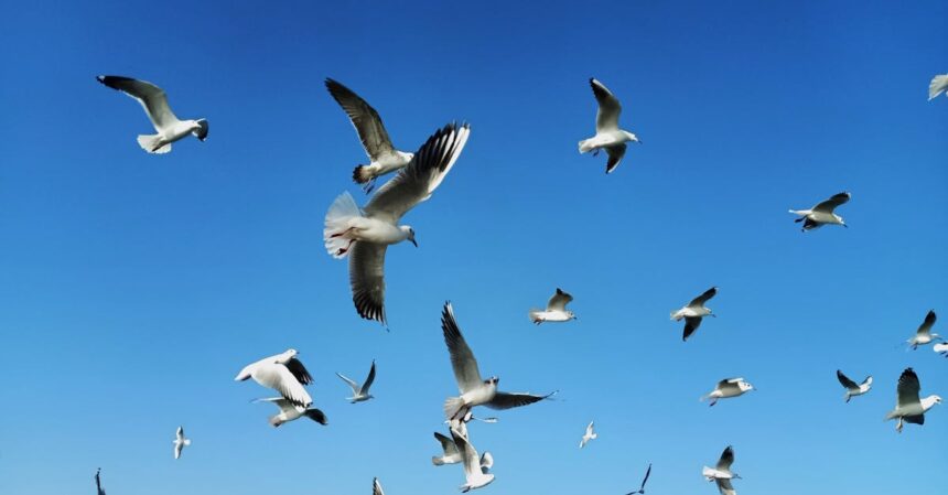 découvrez comment la restriction de mouvement peut impacter votre quotidien. explorez les causes et les solutions pour améliorer votre mobilité, tout en préservant votre bien-être.