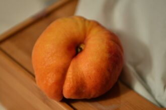 découvrez comment une nutrition optimale peut transformer votre santé et améliorer votre bien-être au quotidien. apprenez des conseils pratiques, des recettes équilibrées et des astuces personnalisées pour atteindre vos objectifs nutritionnels.