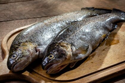 découvrez les bienfaits des oméga-3, des acides gras essentiels pour la santé. améliorez votre bien-être avec des conseils sur les sources alimentaires et les suppléments d'oméga-3.