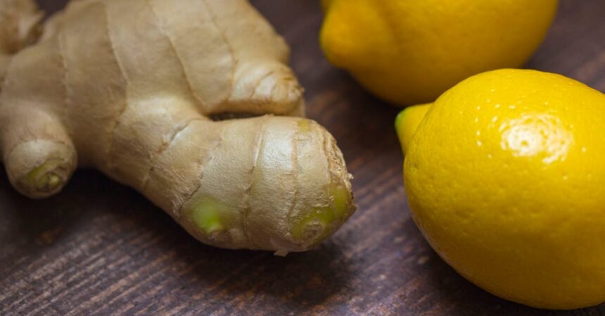 découvrez des remèdes maison efficaces et naturels pour soulager divers maux du quotidien. apprenez à utiliser des ingrédients simples de votre cuisine pour améliorer votre bien-être sans recourir à des produits chimiques.