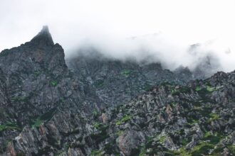 l'alvéolite, ou ostéite alvéolaire, est une complication douloureuse après une extraction dentaire. découvrez ses causes, symptômes, traitements et conseils pour prévenir cette infection osseuse.