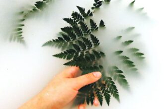 découvrez notre guide complet sur le skincare, avec des conseils et astuces pour prendre soin de votre peau, choisir les meilleurs produits adaptés à votre type de peau et adopter une routine de beauté efficace pour un éclat radieux.