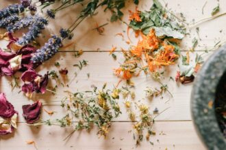 découvrez l'art de l'herboristerie, une pratique ancestrale qui utilise les plantes et leurs propriétés pour promouvoir la santé et le bien-être. explorez les bienfaits des remèdes naturels, apprenez à préparer vos propres infusions et élixirs, et plongez dans l'univers fascinant des plantes médicinales.