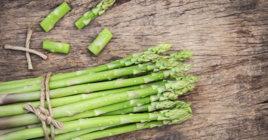 découvrez l'importance des fibres pour une alimentation équilibrée et saine. apprenez comment intégrer des sources de fibres dans vos repas pour améliorer votre digestion et votre bien-être général.