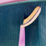 découvrez une exploration approfondie des pratiques sexuelles variées, couvrant des aspects de la sexualité, des relations et du bien-être. idéal pour élargir vos connaissances et améliorer votre vie intime.