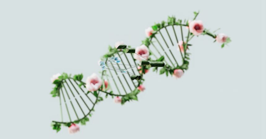 la prédisposition génétique désigne la susceptibilité d'un individu à développer certaines maladies ou traits en fonction de son patrimoine génétique. découvrez comment vos gènes peuvent influencer votre santé et vos caractéristiques, et apprenez-en plus sur l'impact de la génétique dans la médecine personnalisée.