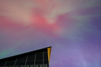 découvrez comment les cancers environnementaux sont influencés par notre environnement. explorez les facteurs de risque, les études récentes et les mesures préventives pour protéger votre santé et celle de la planète.
