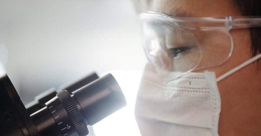 découvrez tout ce qu'il faut savoir sur les analyses de sang : types de tests, attentes, préparations nécessaires et interprétations des résultats pour une meilleure santé.