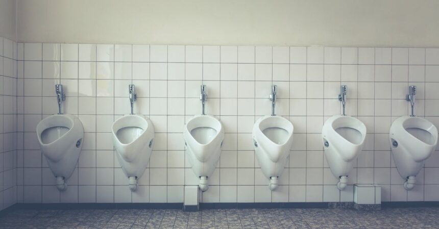 découvrez tout ce qu'il faut savoir sur l'urination : processus, fréquence normale, troubles possibles et conseils pour une santé urinaire optimale.