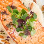 découvrez les protéines maigres : des sources nutritives pour une alimentation saine et équilibrée, idéales pour la perte de poids et le développement musculaire.
