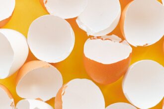 découvrez tout sur les protéines : leur rôle essentiel dans l'alimentation, les différentes sources, ainsi que des conseils pour les intégrer efficacement dans votre régime alimentaire pour une santé optimale.