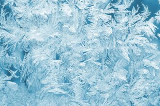 découvrez l'univers fascinant du froid : ses effets sur notre environnement, ses applications dans la science et la technologie, et les bienfaits d'une température fraîche pour la santé et le bien-être.