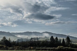 découvrez des solutions pour soulager la raideur matinale et retrouvez votre mobilité rapidement. informez-vous sur les causes, les remèdes naturels et les exercices efficaces pour commencer vos journées en pleine forme.