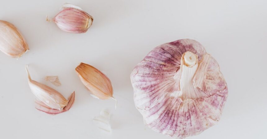 découvrez les bienfaits des anti-inflammatoires pour soulager vos douleurs et réduire l'inflammation dans le corps. apprenez à les utiliser de manière efficace et à intégrer des options naturelles dans votre quotidien.