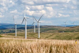 découvrez comment optimiser votre consommation d'énergie grâce à des techniques innovantes et des solutions durables. améliorez l'efficacité énergétique de votre entreprise ou de votre domicile pour réduire vos coûts et votre impact environnemental.
