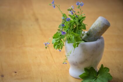 découvrez des remèdes maison efficaces et naturels pour soulager divers maux du quotidien. apprenez à utiliser des ingrédients simples que vous avez chez vous pour améliorer votre bien-être sans recourir à des traitements chimiques.