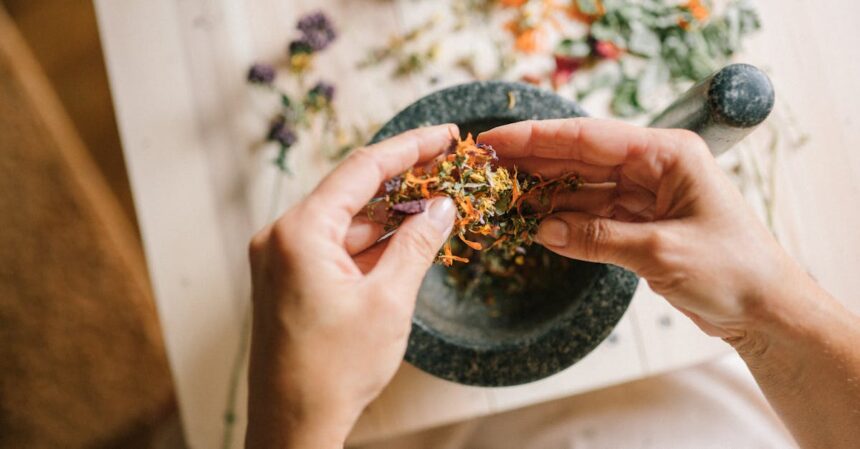 découvrez des remèdes naturels efficaces pour améliorer votre santé et votre bien-être au quotidien. explorez des solutions douces et accessibles, inspirées de la nature, pour soulager divers maux et revitaliser votre corps.