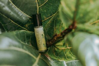 découvrez des remèdes naturels efficaces pour améliorer votre bien-être au quotidien. explorez des solutions holistiques pour soulager les maux courants et renforcer votre santé de manière douce et respectueuse de votre corps.