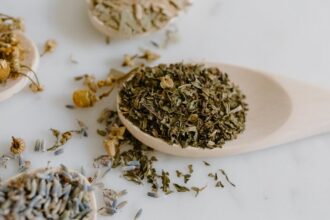 découvrez des remèdes naturels pour améliorer votre bien-être au quotidien. explorez des solutions végétales, des astuces santé et des recettes simples pour apaiser divers maux de façon naturelle.