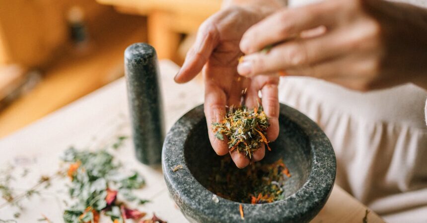 découvrez des remèdes naturels efficaces pour améliorer votre bien-être au quotidien. explorez nos conseils sur les plantes, huiles essentielles et techniques ancestrales pour une santé optimale et un équilibre naturel.