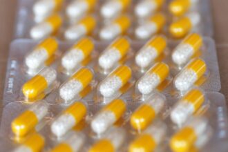 découvrez l'importance de l'immunité pour votre santé. apprenez comment renforcer vos défenses naturelles grâce à une alimentation équilibrée, des astuces de style de vie et des suppléments adaptés. protégez votre organisme et améliorez votre bien-être général.