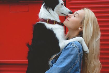 découvrez nos stratégies efficaces pour restaurer la confiance et renforcer les relations. apprenez à surmonter les défis et à bâtir un avenir solide grâce à des méthodes éprouvées de rétablissement de la confiance.