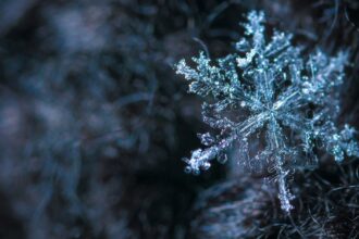 découvrez tout sur le froid : des conseils pour affronter les basses températures, les meilleures habits d'hiver, et comment préserver votre santé en période froide.